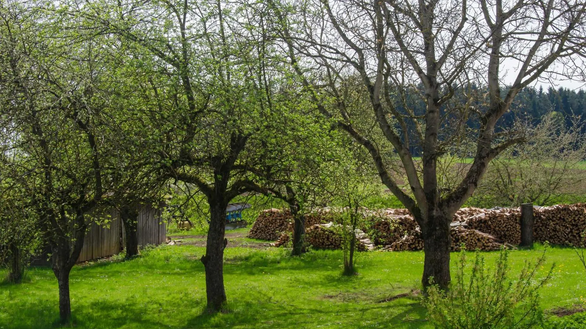 Ferienwohnung Kobelsberg Aufsess